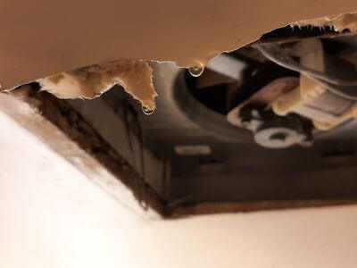 Professional water damage restoration services in Escondido - CoreGuard